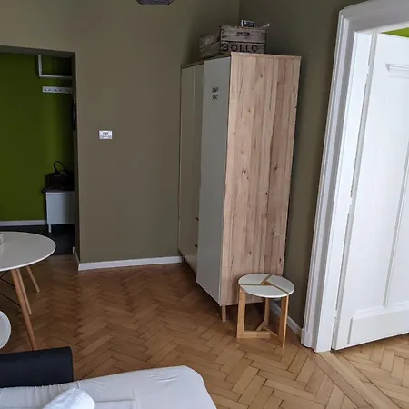 Apartment Ultra-central In The Historic Palace Timisoara