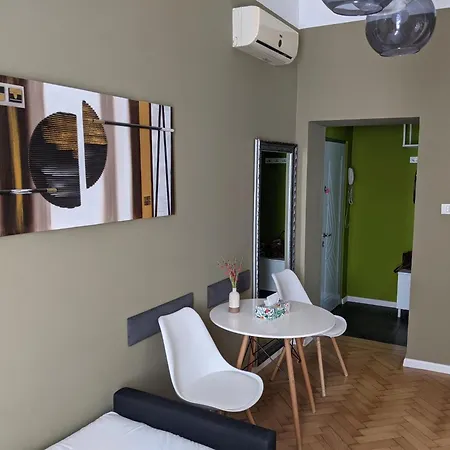 Ultra-central In The Historic Palace Apartment Timisoara
